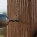 a door handle on a wooden door